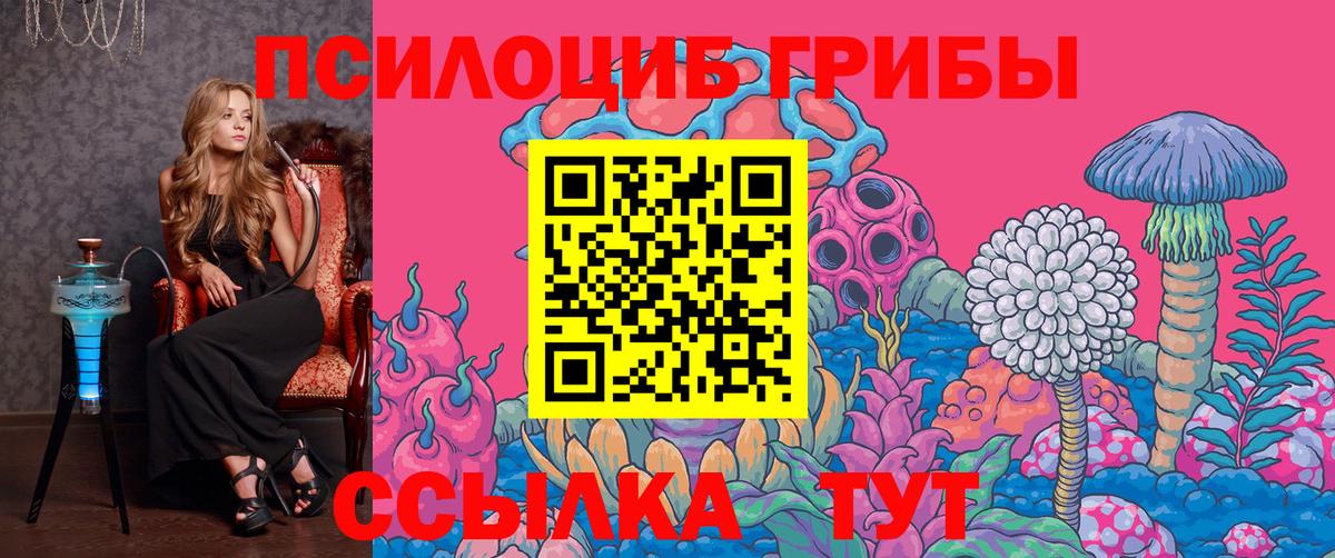 Галлюциногенные грибы MAGIC MUSHROOMS Горно-Алтайск
