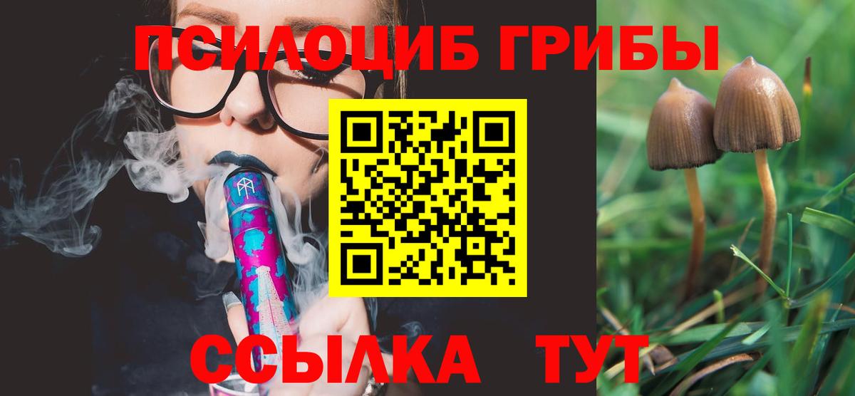 Псилоцибиновые грибы MAGIC MUSHROOMS  Вход с VPN  Горно-Алтайск  купить наркотики сайты  Галлюциногенные грибы GOLDEN TEACHER 